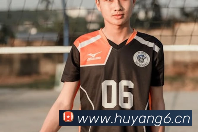 App Interface Preview