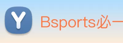 Bsports必一运动(中国区)官方网站 logo